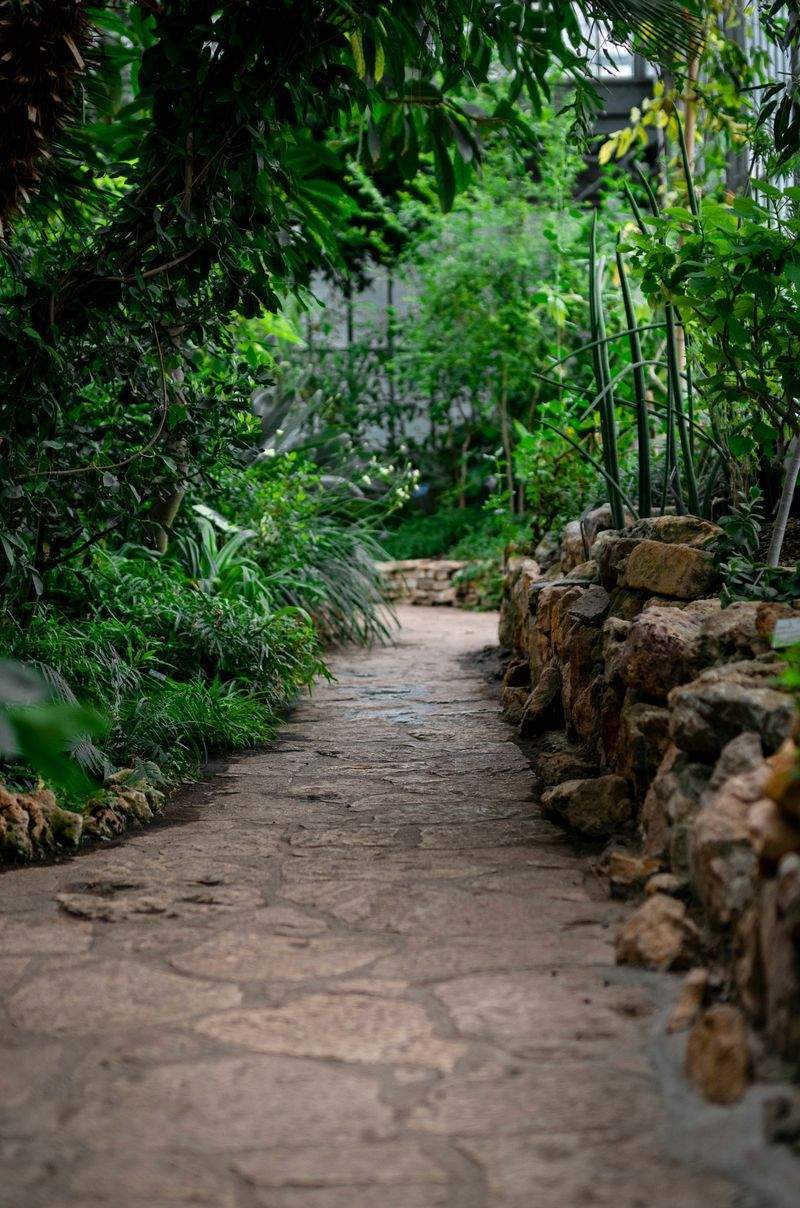 Low-Maintenance Backyard Planting Plan