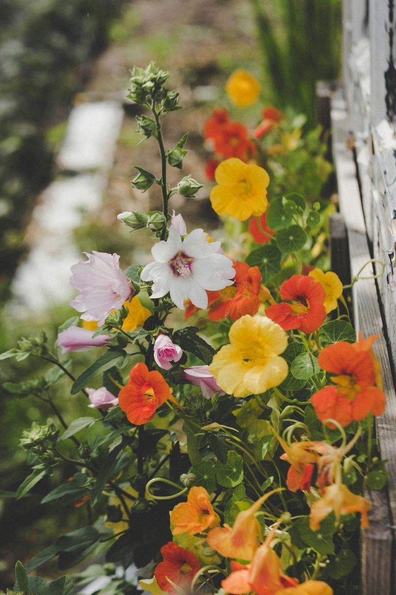 Maple Grove Gardenworks